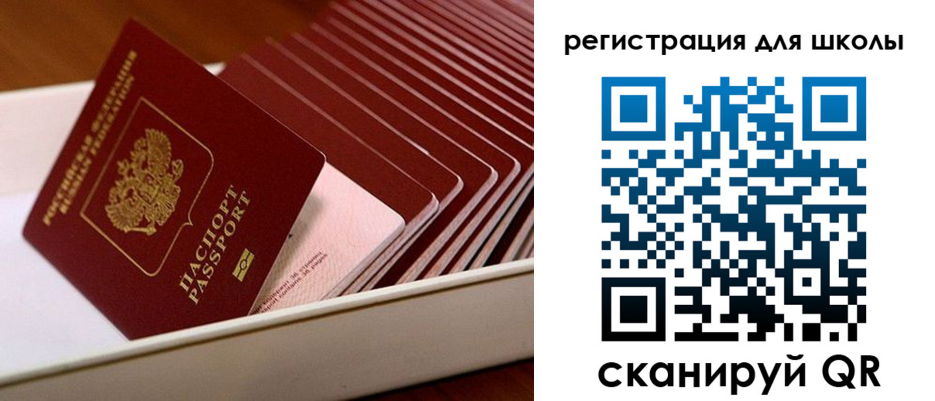 прописка гарантия в Севастополе